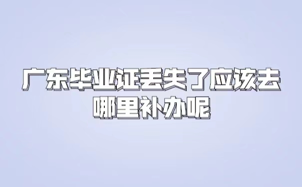 广东毕业证丢了应该去哪里补办