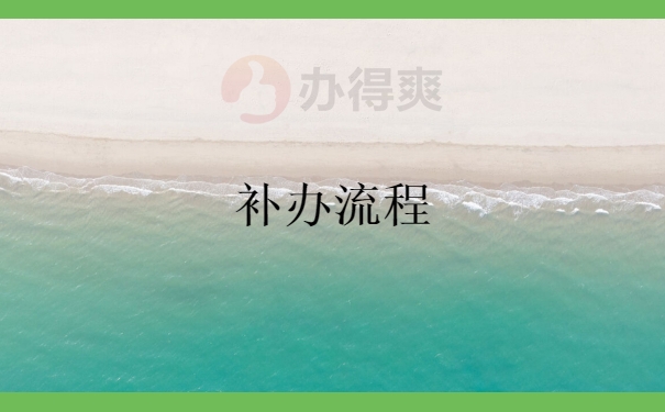 补办流程