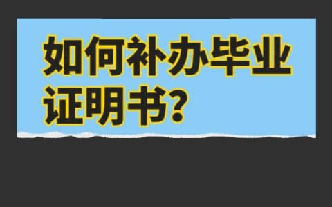 公司入职毕业证丢了怎么补？